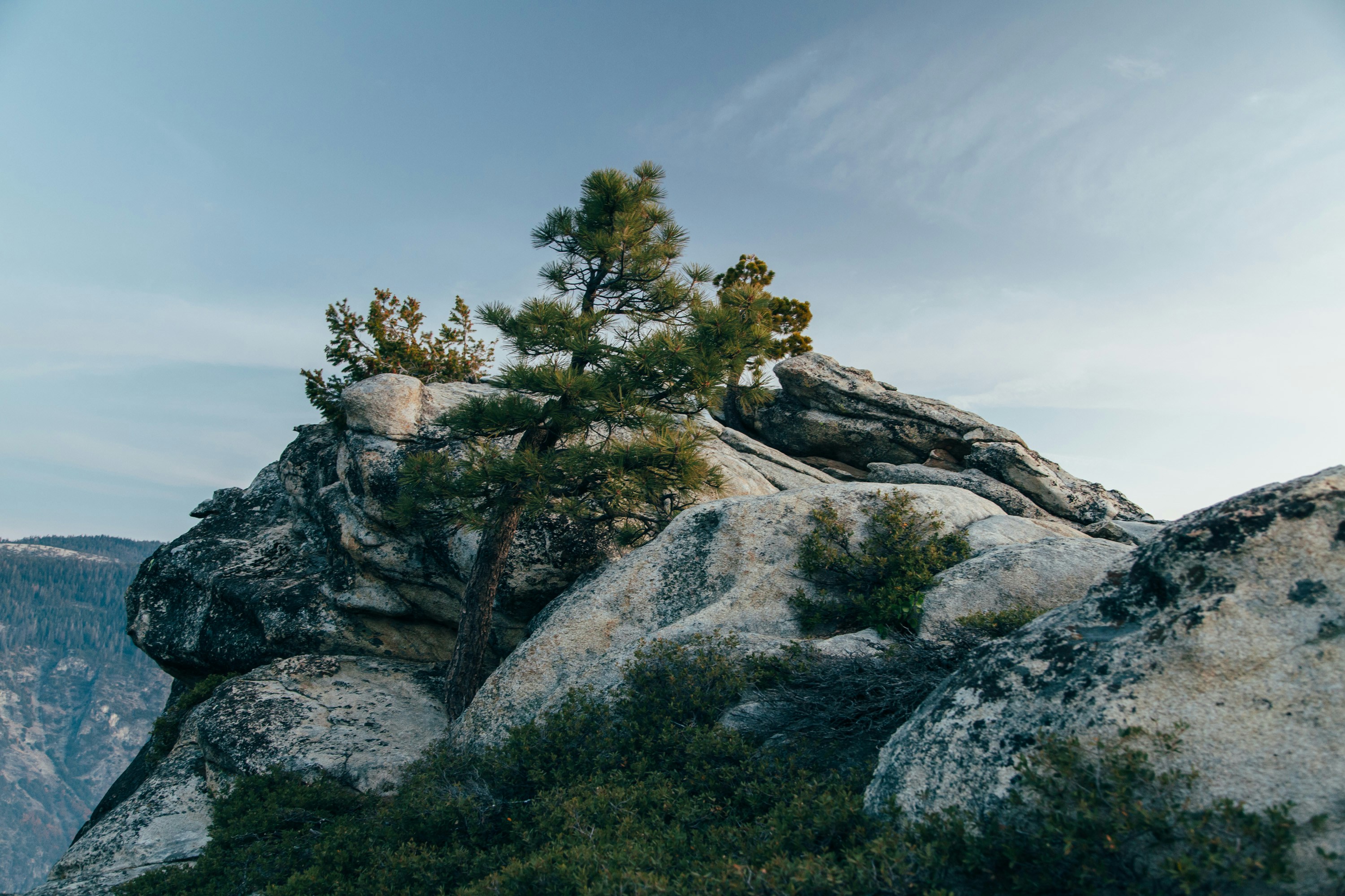 Photo by plasticmind