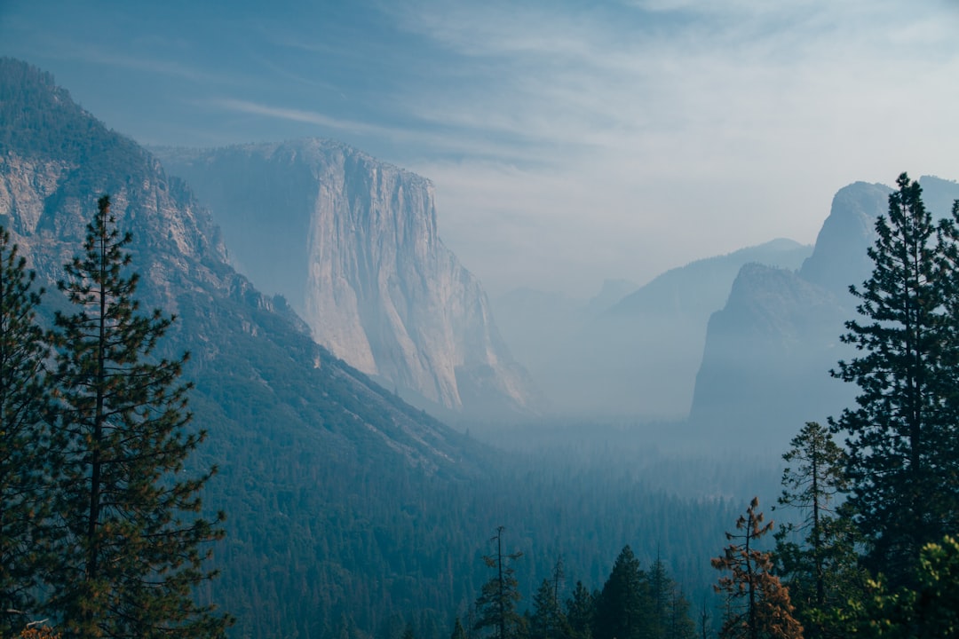 Hill station photo spot Pohono Trail Yosemite National Park, Half Dome