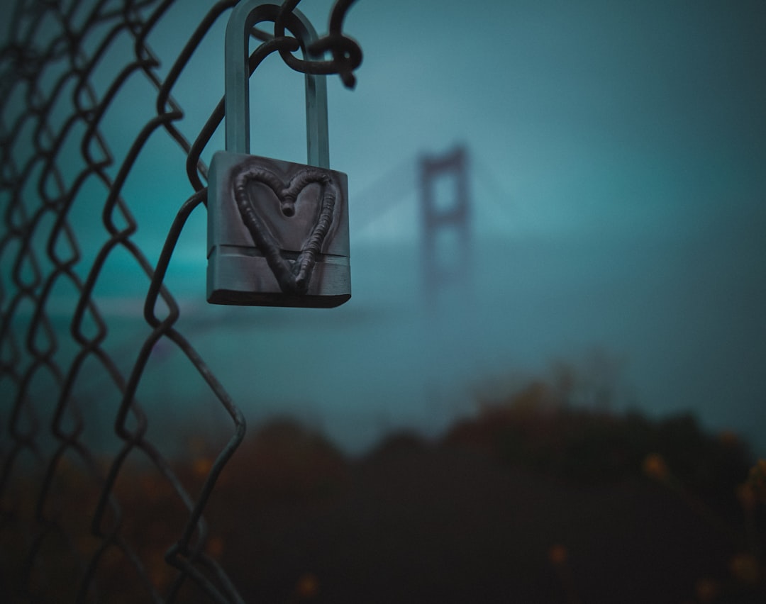 closeup photography of gray heart-printed padlock in gray metal fence