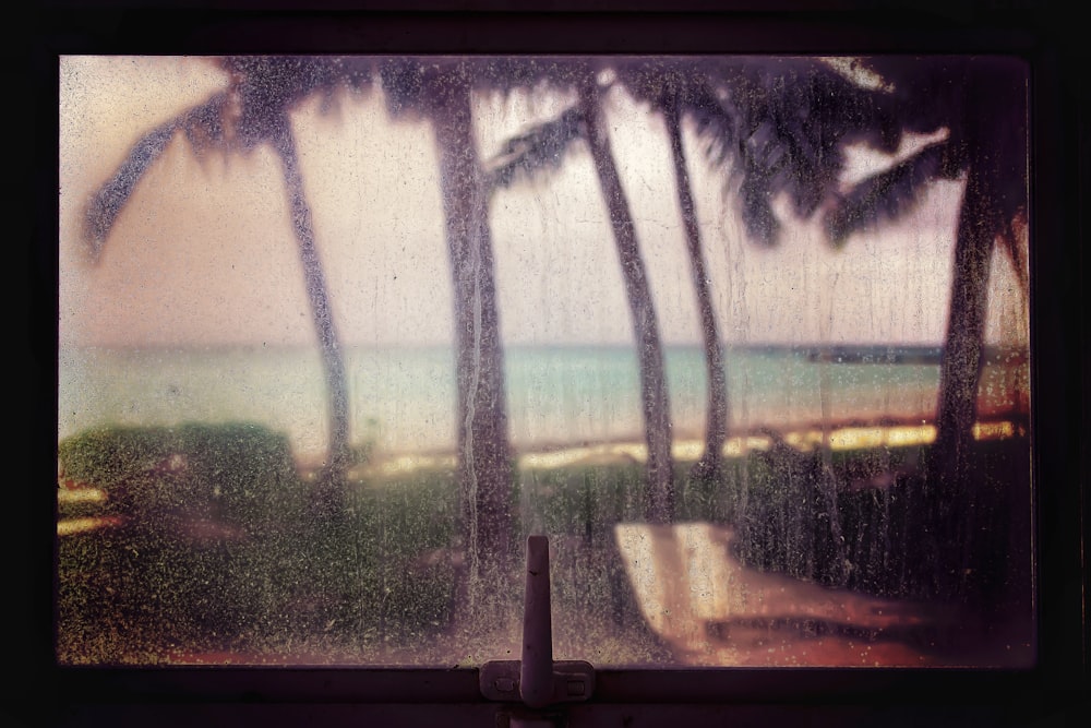 Blick aus dem Fenster auf Kokospalmen in der Nähe des Meeres