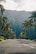 concrete road between palm trees during daytime
