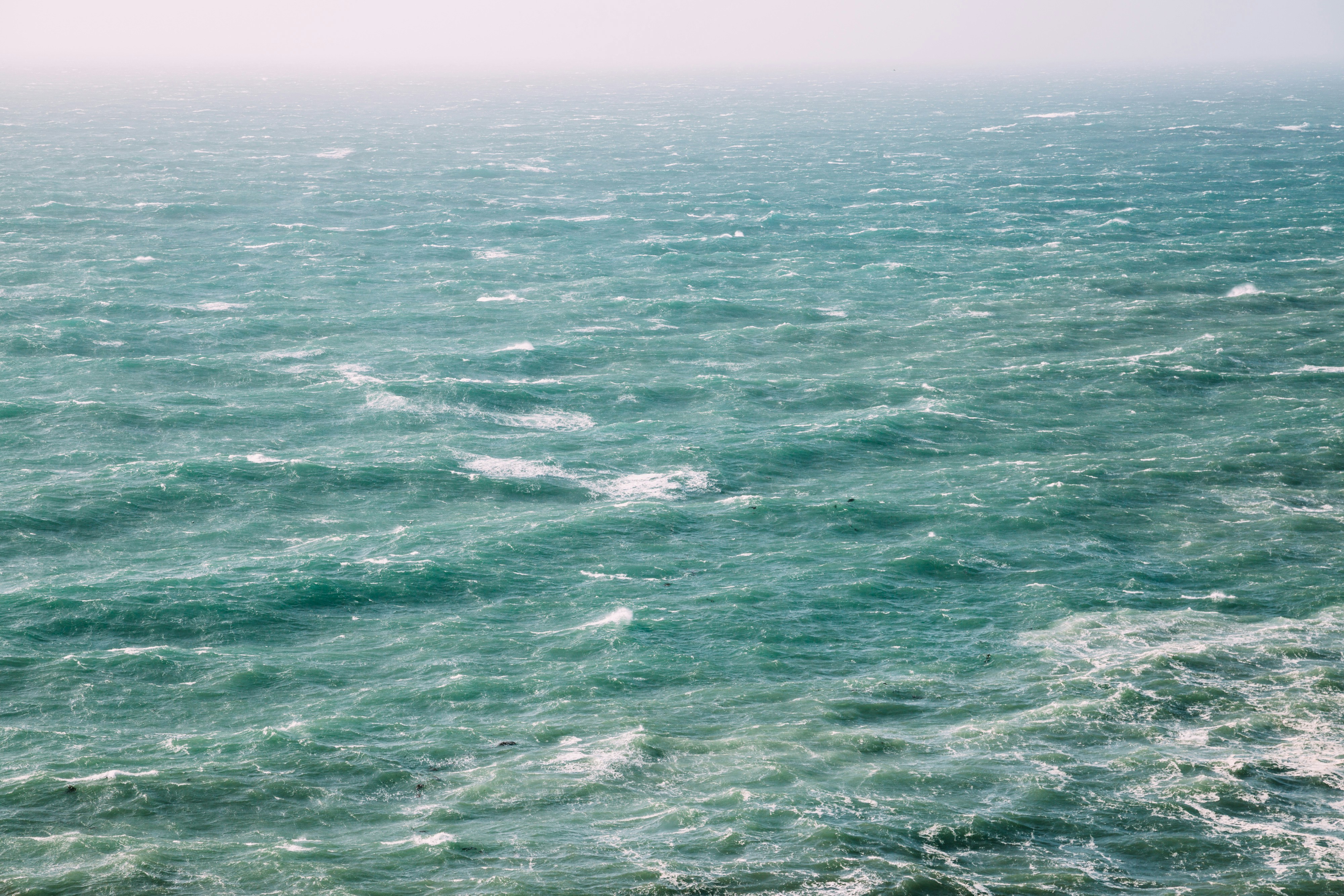 Photo by mikejerskine