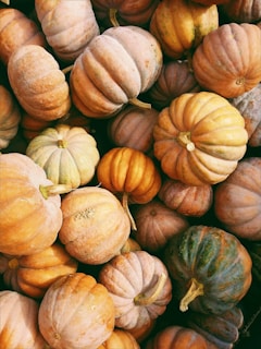 photo of orange and green squash lot
