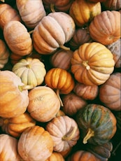 photo of orange and green squash lot