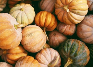 photo of orange and green squash lot