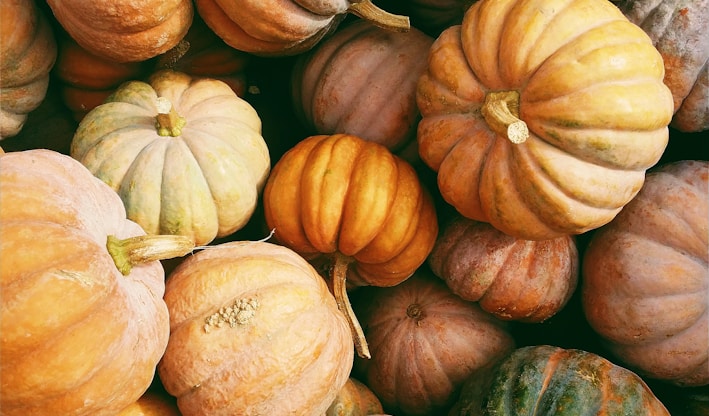 photo of orange and green squash lot