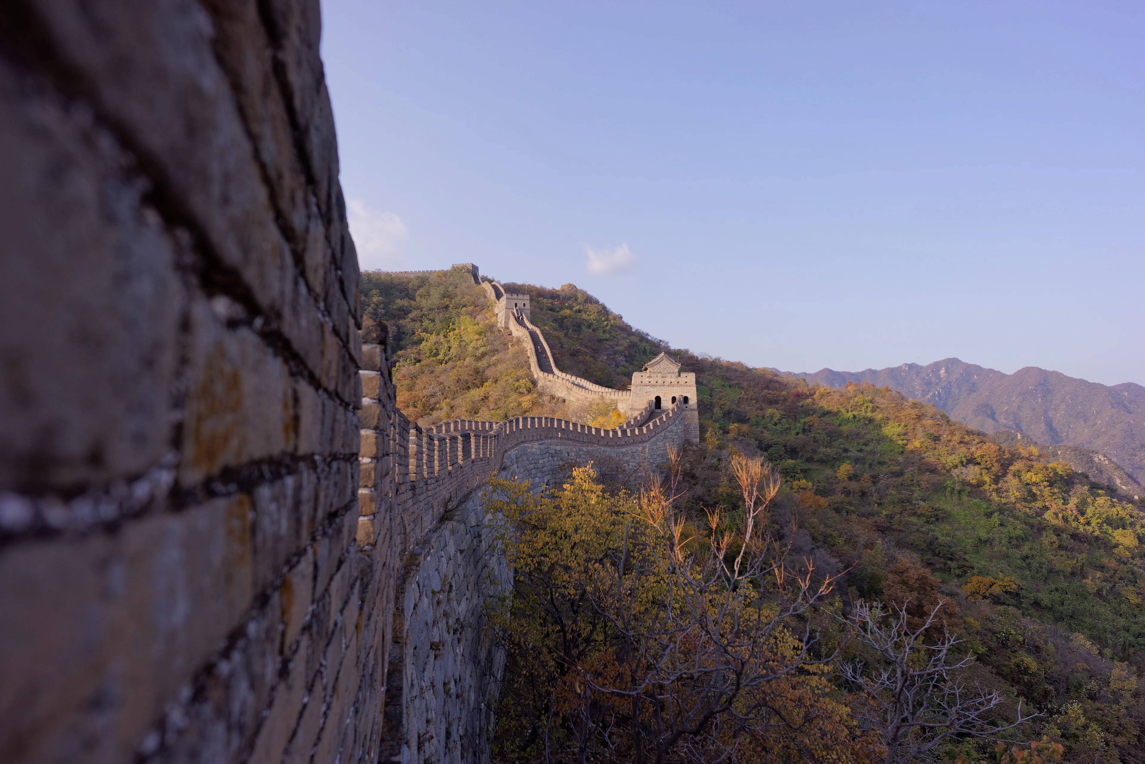 The Great Wall's stone battlements catch golden late-afternoon light as they curve over forested mountain ridges near Mutianyu.