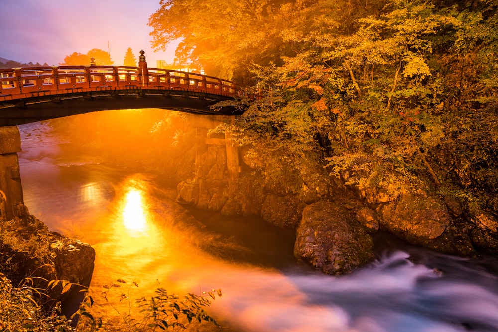 brown and black bridge surrounded by body of water and trees at golden hour