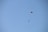 A small rocket is descending from the sky, attached to an orange parachute against a clear blue backdrop. The rocket is tethered to the parachute by a long cord.