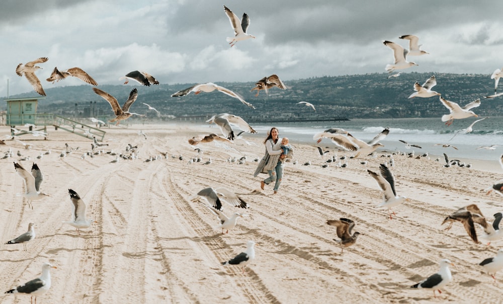woman running on beige shore with birds during daytime