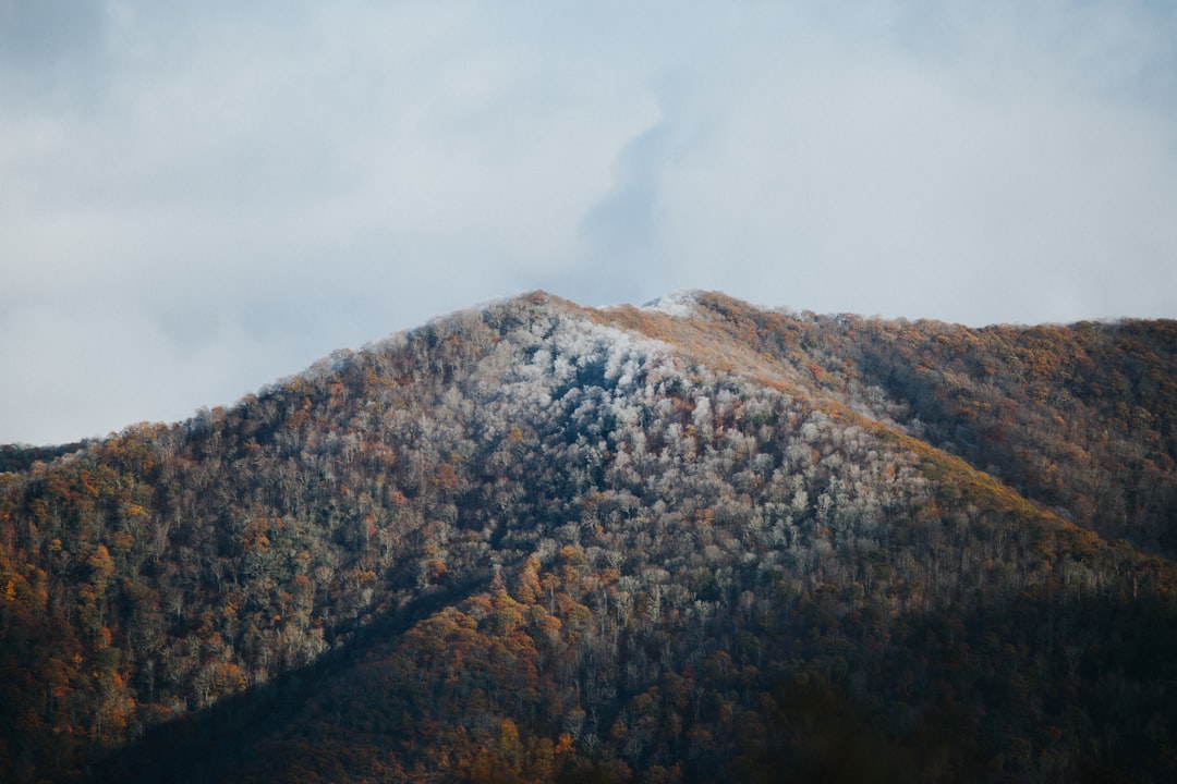 brown and white mountain under clouds