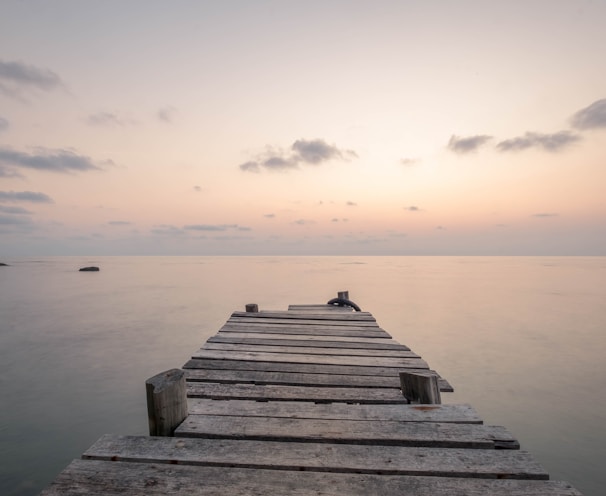 photo of brown wooden boardwalk