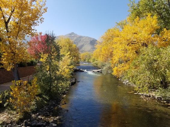 A serene scene featuring the San Francisco Peaks rising behind Oak Creek Canyon with a gentle river flowing beneath autumn-colored trees.