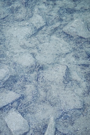 Close-up of advanced water quality sensors submerged in a clear river.