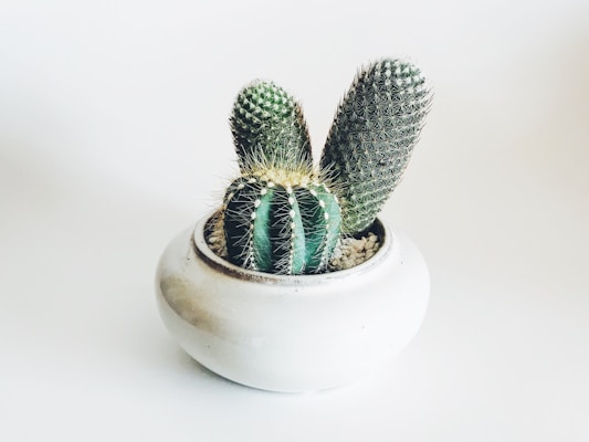 Home Decor Gifts for Mom