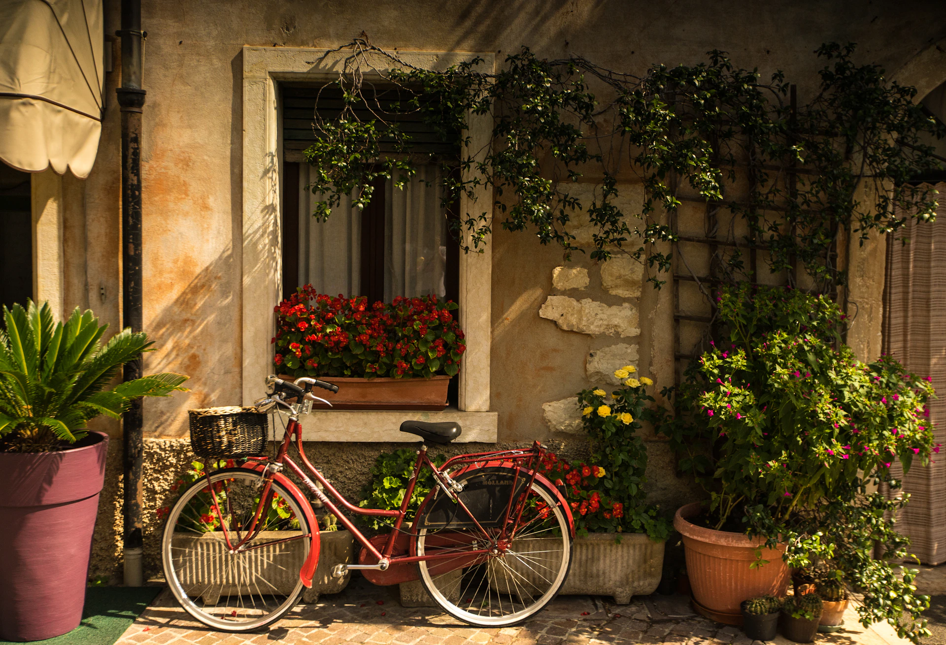 bicycle leaning on house