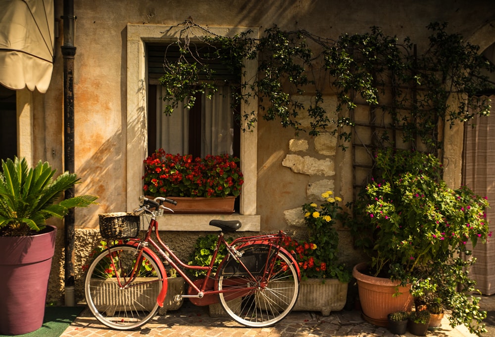 bicycle leaning on house