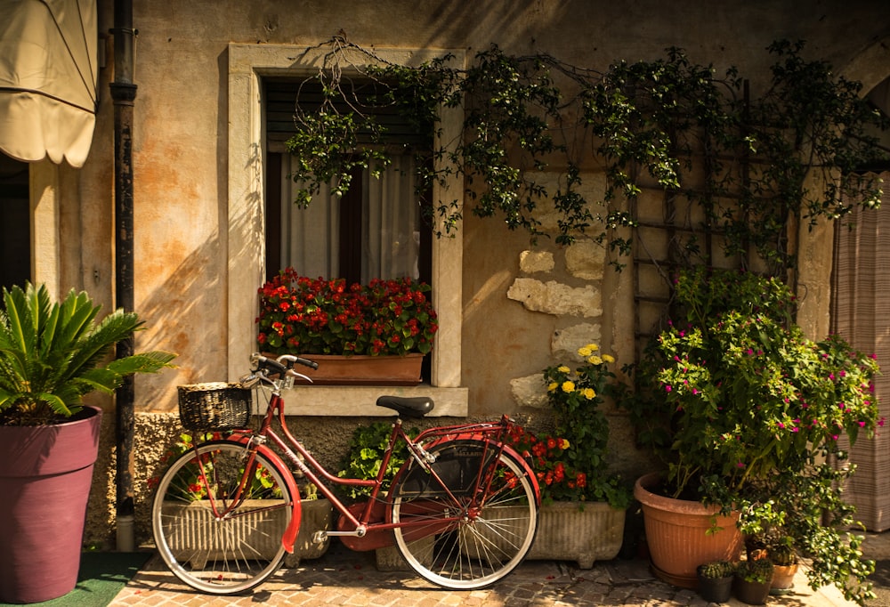 bicicleta encostada em casa