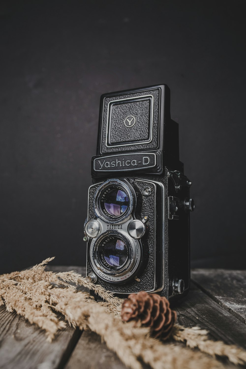 블랙 Yashica-D 카메라