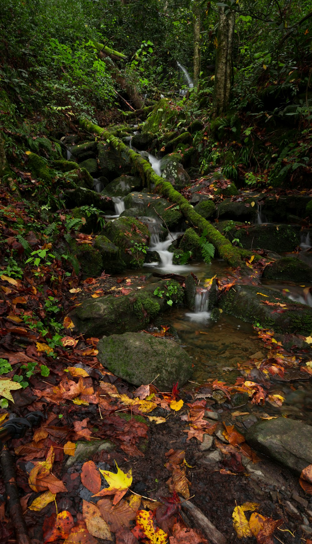 waterfalls near forest during daytime