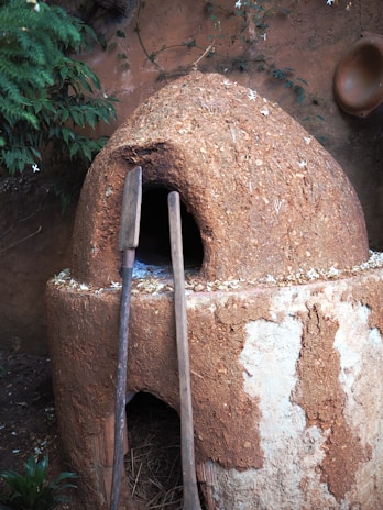 A rustic, clay oven set against an earthy background with green foliage growing around it. The oven has a rounded, dome-like shape and features two long wooden paddles leaning against it. The surface of the oven shows a mix of textures and colors, indicating wear and natural elements.