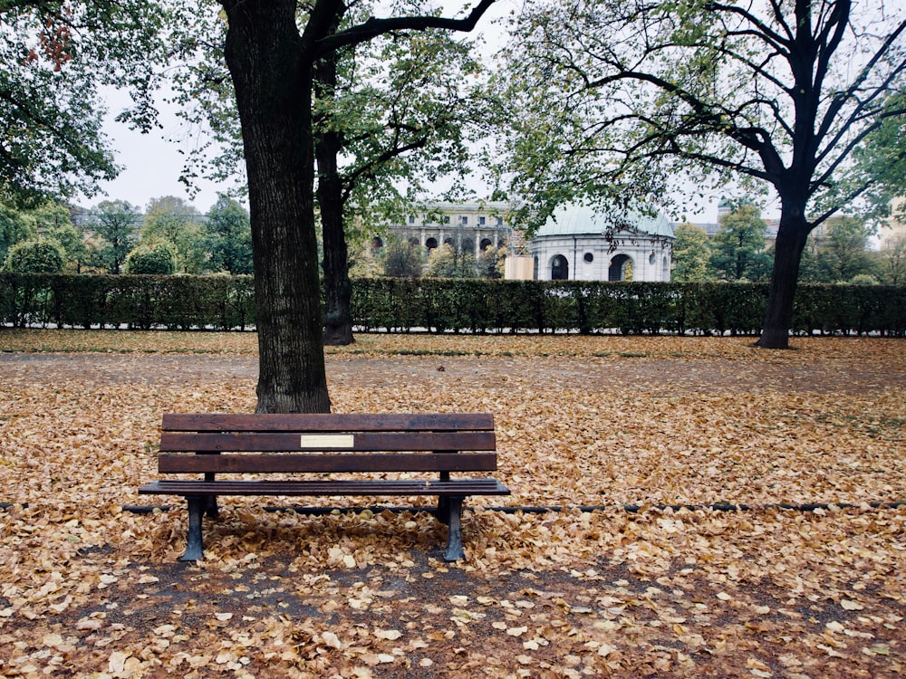 brown wooden bench near tall trees at daytime