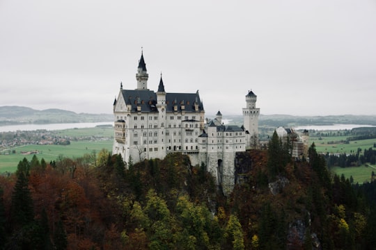 blue and white castle surrounded by trees in Neuschwanstein Castle Germany