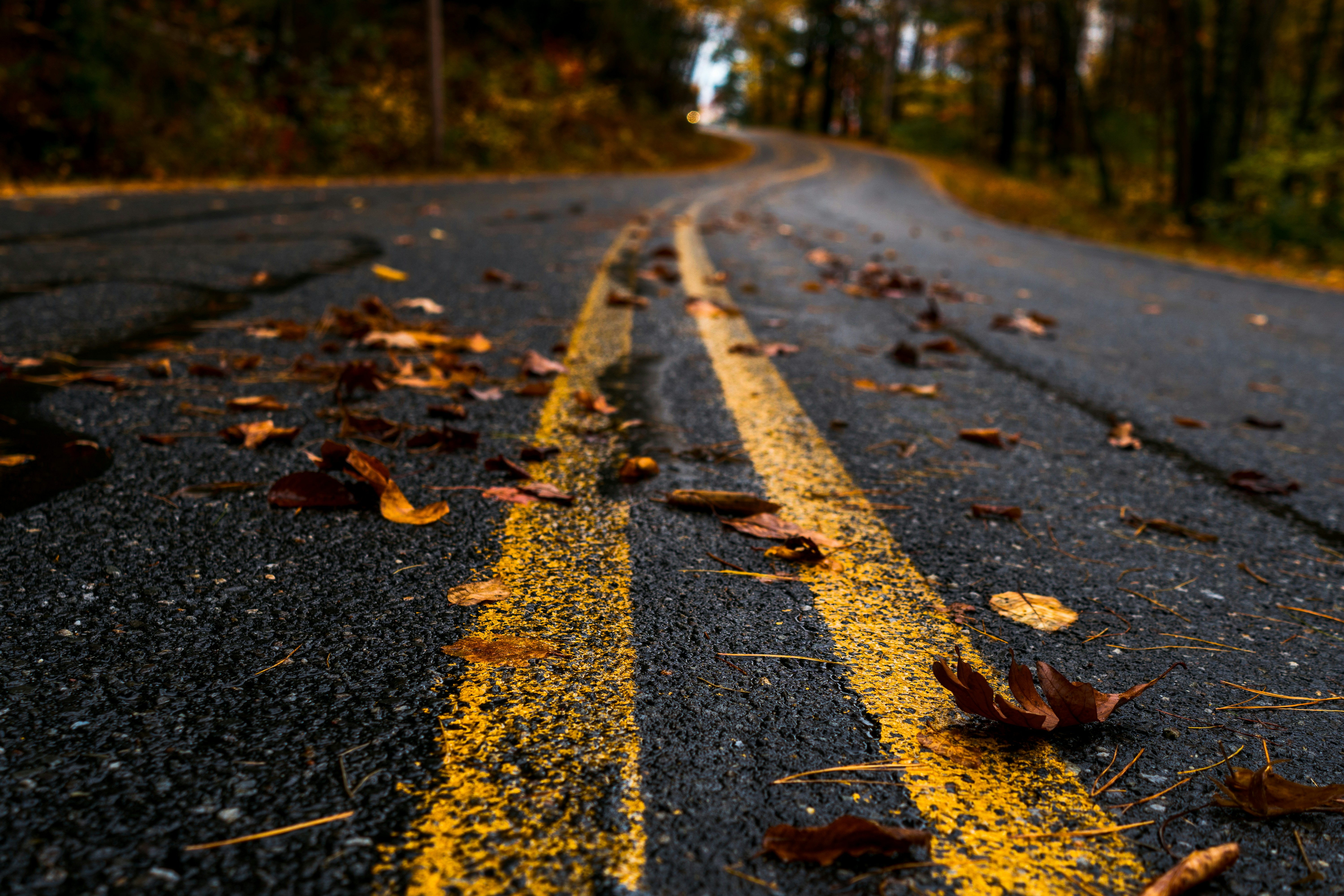 Photo by breakyourboundaries4