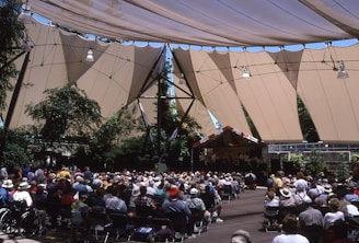 A cozy outdoor setup with microphones and listeners gathered under pine trees.