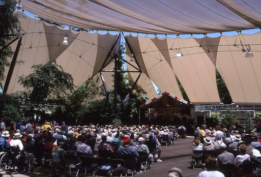 A cozy outdoor setup with microphones and listeners gathered under pine trees.