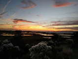 A serene sunset over the mangrove wetlands, highlighting natural beauty.