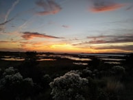 Sunset over a protected wetland area with birds flying low over the water.