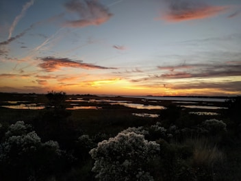 A serene view of the Ciénaga de Zapatosa wetlands at sunset, reflecting warm colors.