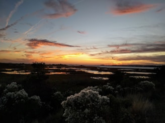 A serene view of the Ciénaga de Zapatosa wetlands at sunset, reflecting warm colors.