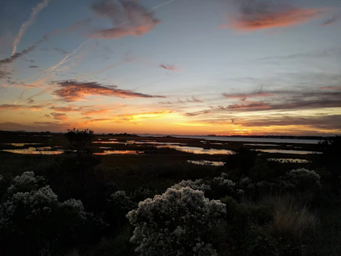 A serene sunset over the mangrove wetlands, highlighting natural beauty.