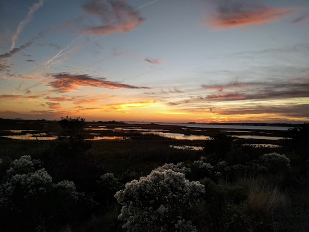 Sunset over a restored wetland, with birds flying and peaceful natural scenery.
