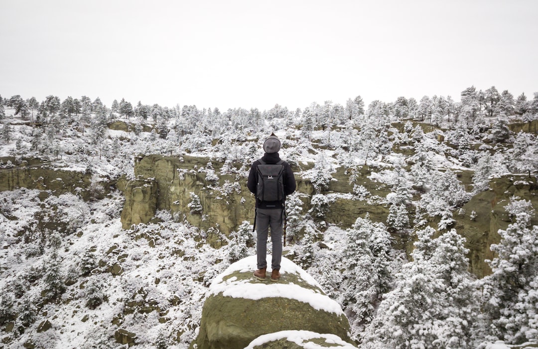 person standing on cliff in front of forest