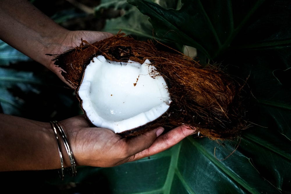 una persona che tiene una noce di cocco in mano