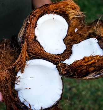 person holding coconut husks