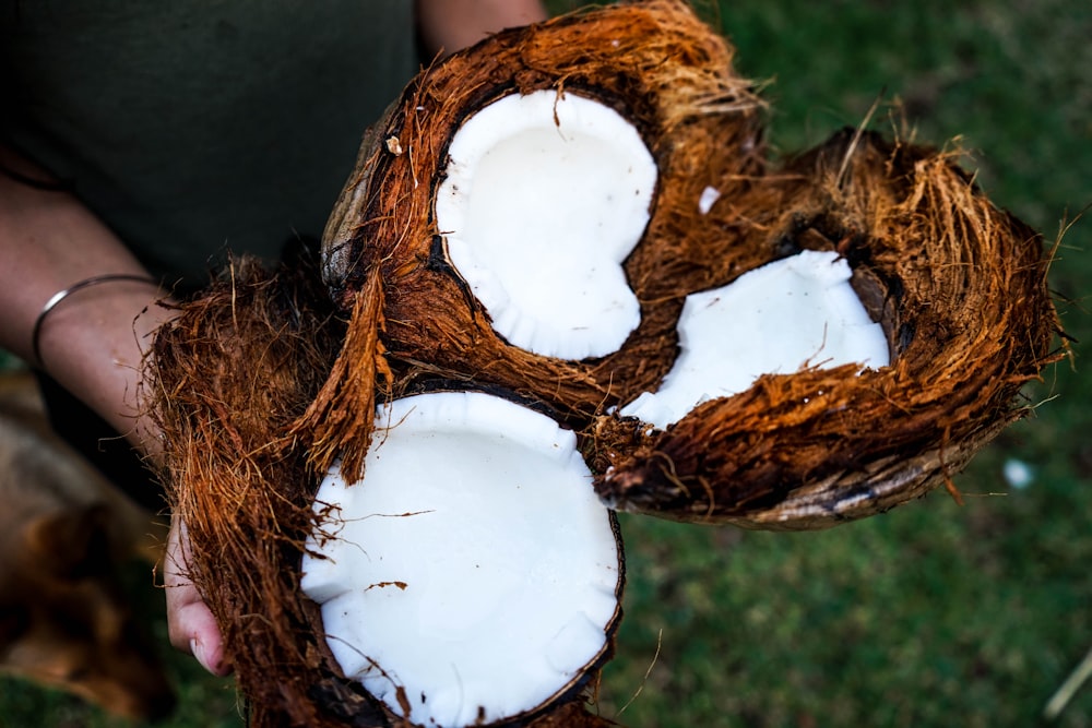 person holding coconut husks