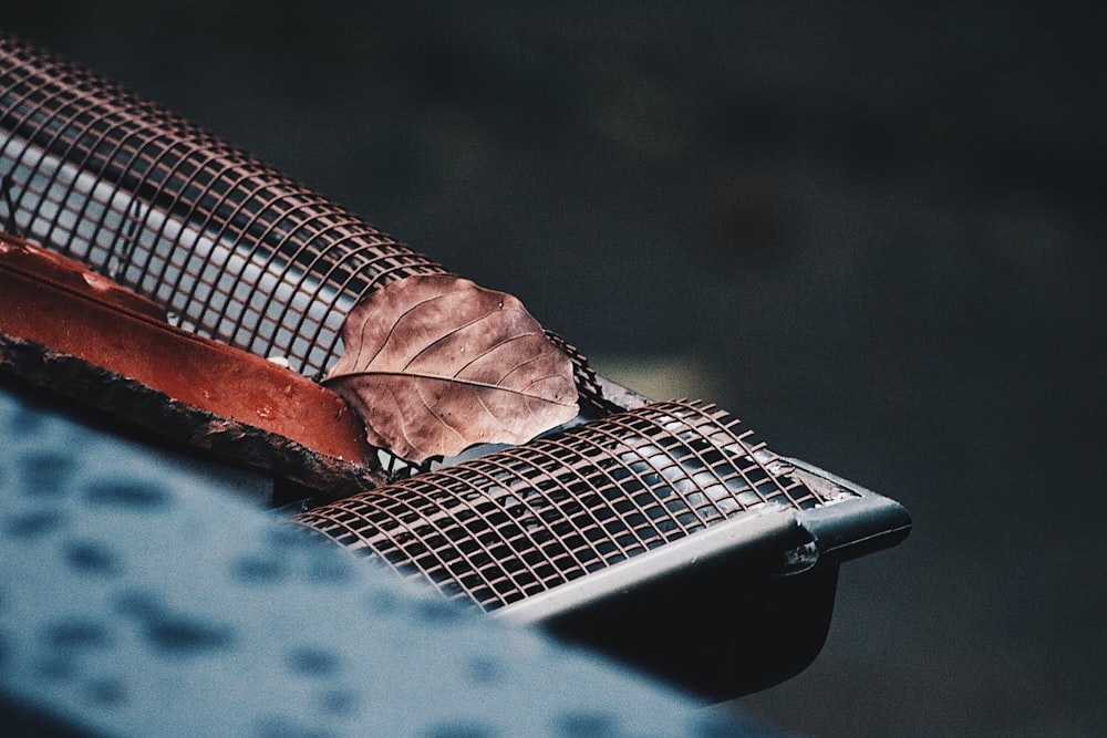 shallow photography of dry leaf on steel frame