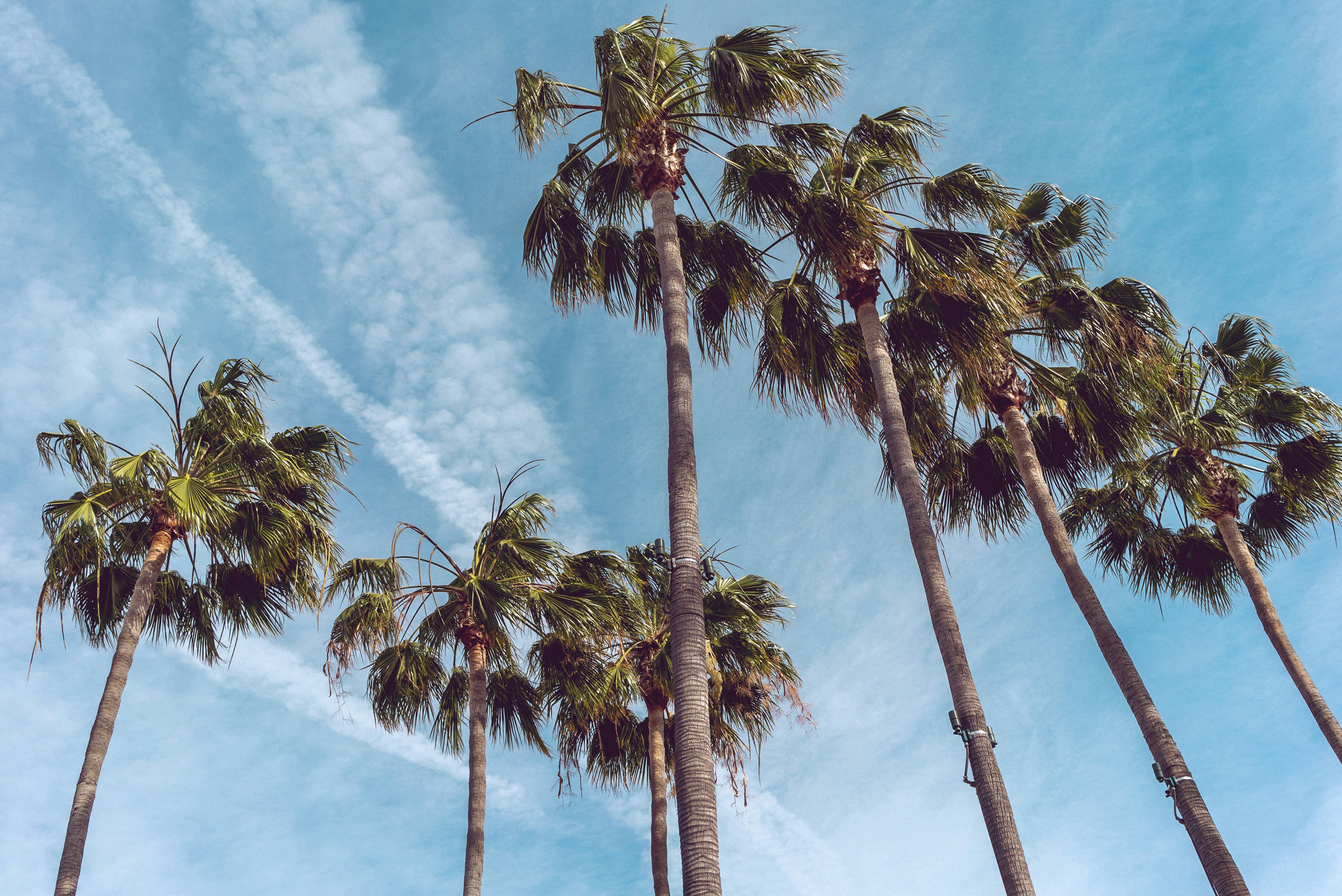 ロサンゼルスの気候とシーズンごとの服装 New Gardena Hotel