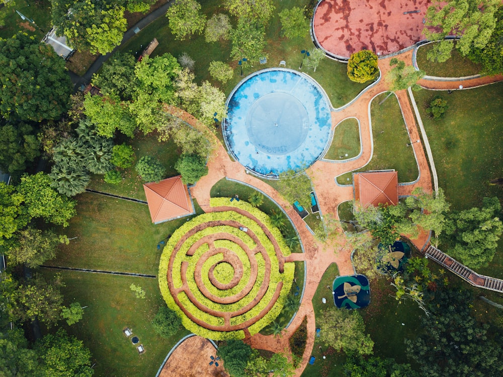 bird's eye view photography of a trees and park