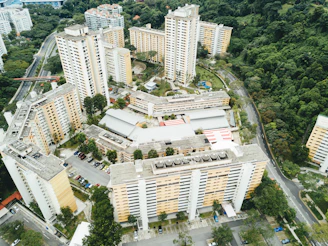 white and green concrete building at daytime