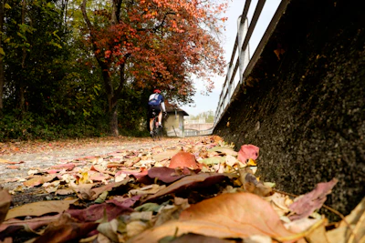 A cyclist riding along a scenic mountain trail with vibrant autumn colors