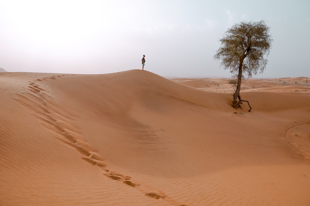 person standing on sand dune near the tree