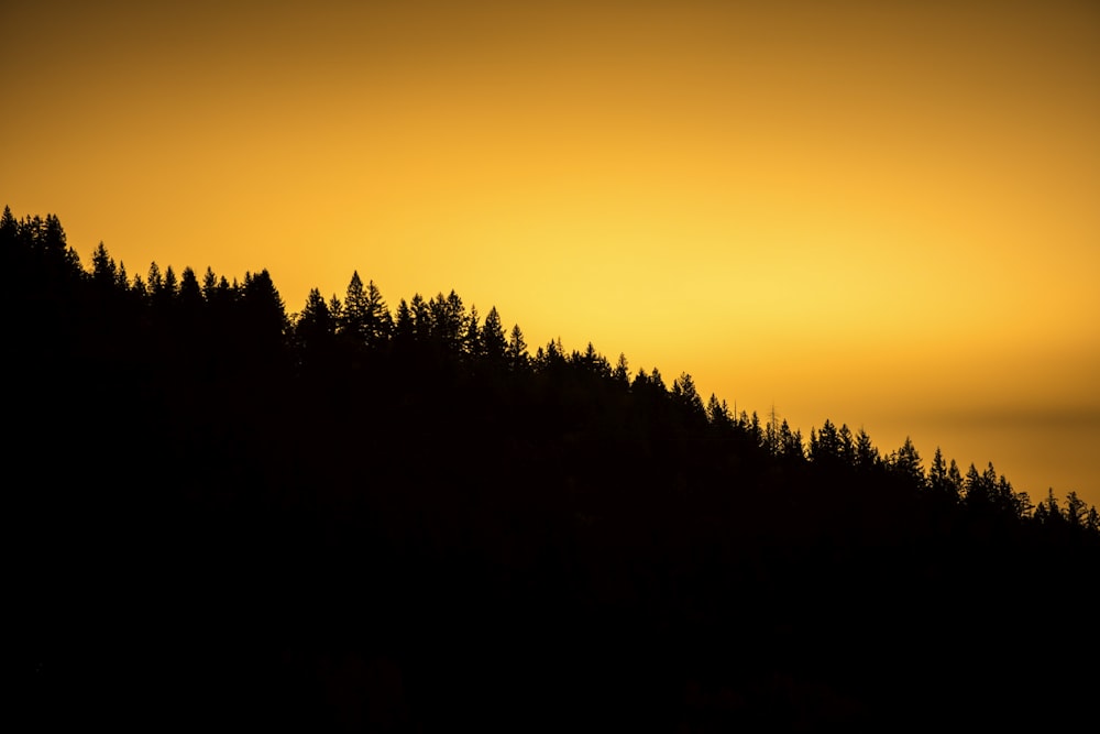 mountain during dawn photo