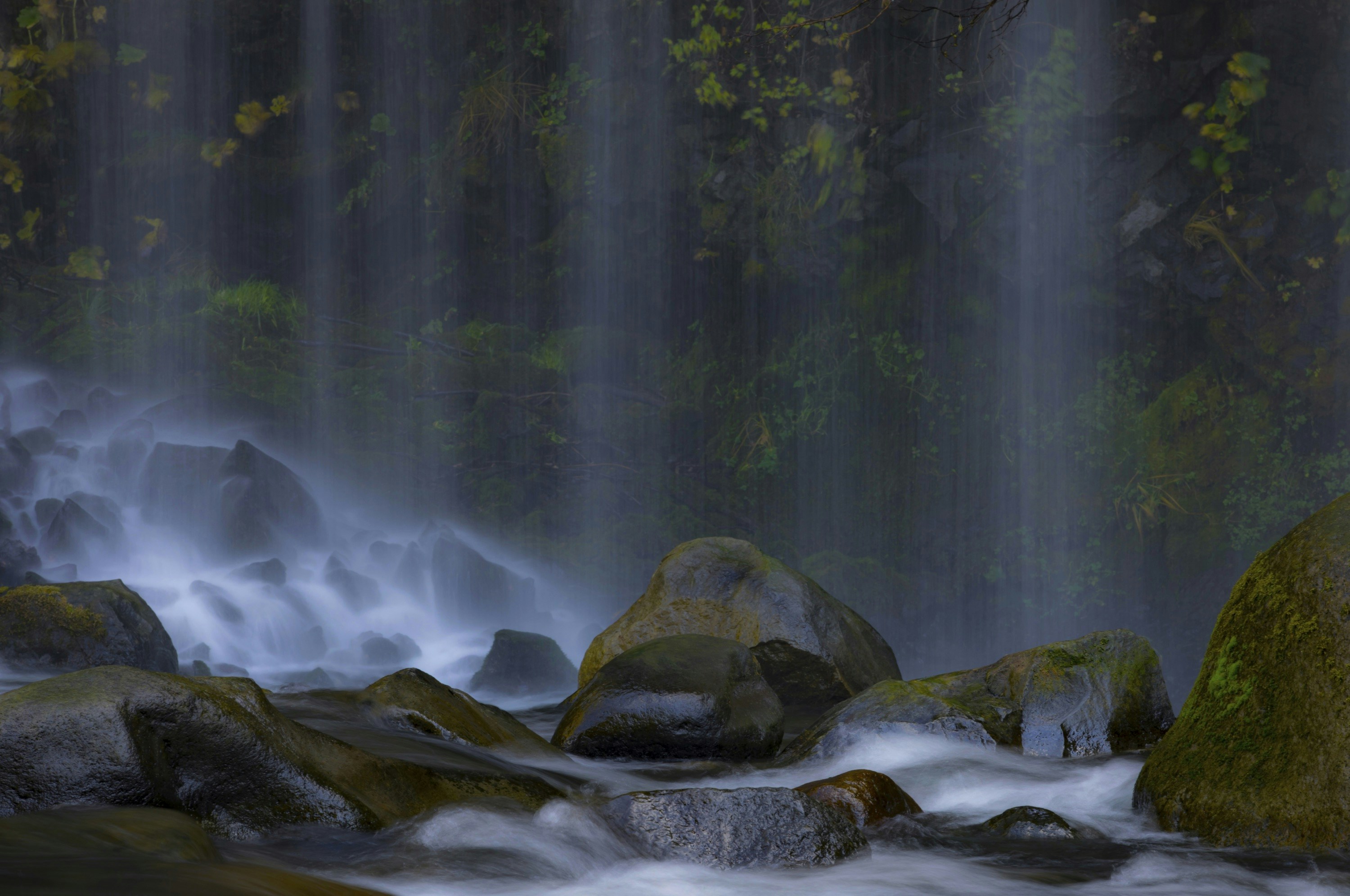 Photo by leo_visions_