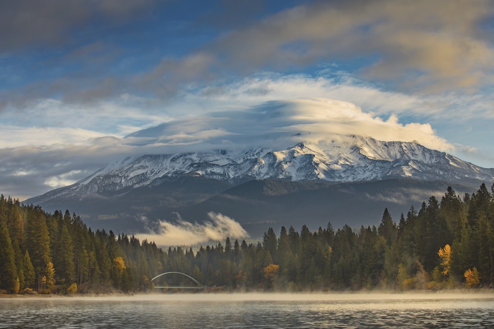 snow covered mountain surrounded by pine trees