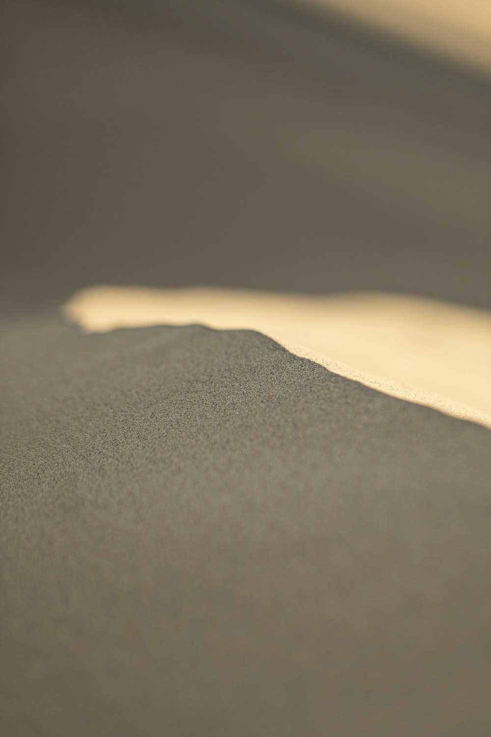 um close up de uma duna de areia com um fundo desfocado